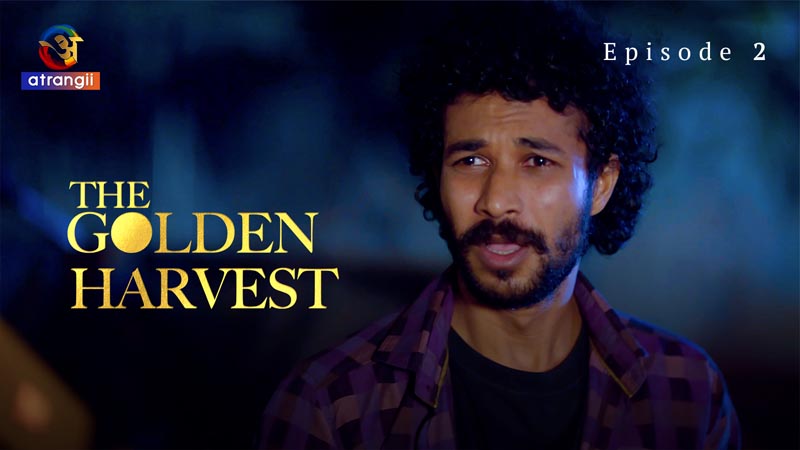 The Golden Harvest | Season 01 | Episode 02